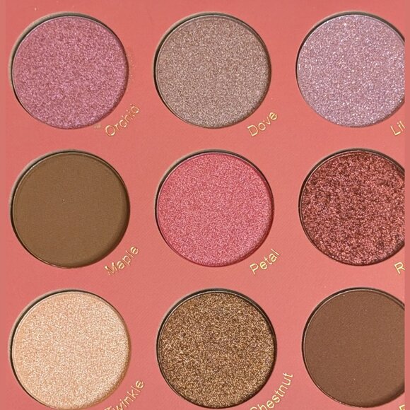 Beauty Evolved, Luminous Legends Eyeshadow Palette β 24 Shades β NEW - Picture 6 of 7